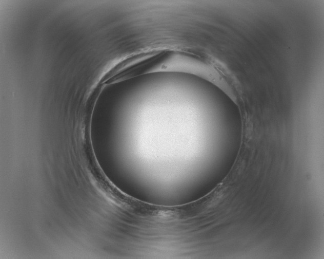 X0000078000060200611101805