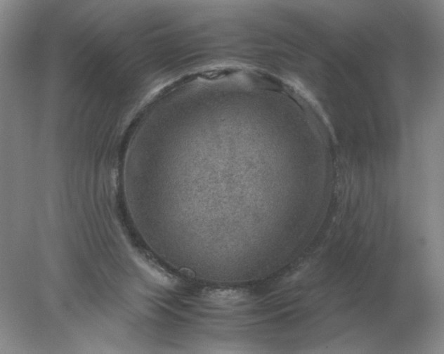 X0000078000063200611101805