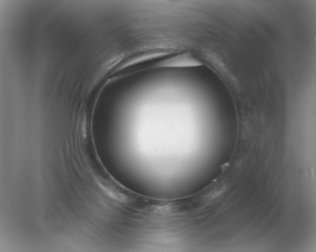 X0000078000068200611101805