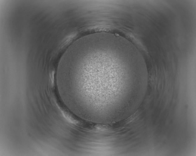 X0000078000070200611101805