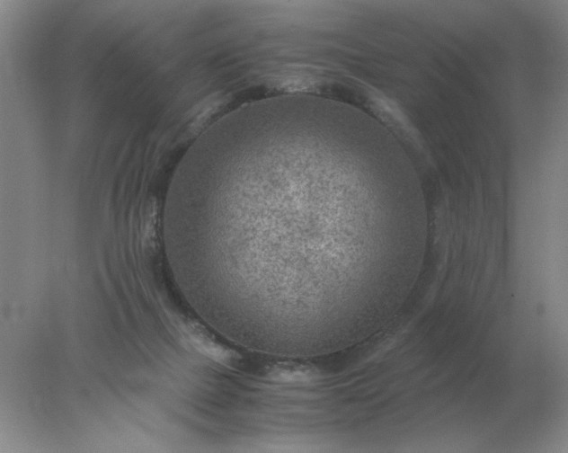 X0000078000073200611101805