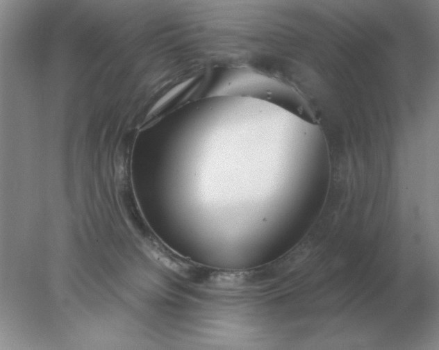 X0000078000084200611101805