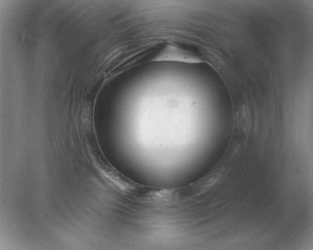 X0000078000092200611101805