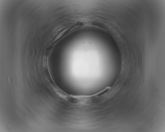 X0000078000096200611101805