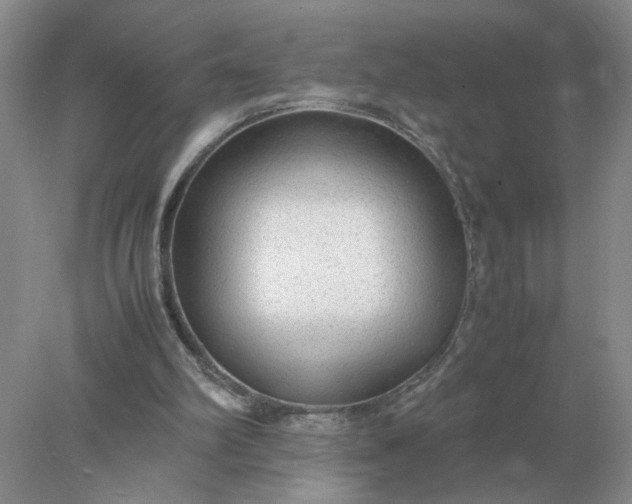 X0000078000102200611101804