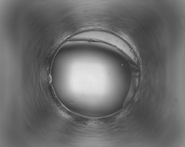 X0000078000105200611101804