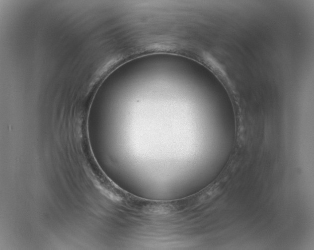 X0000078000106200611101804