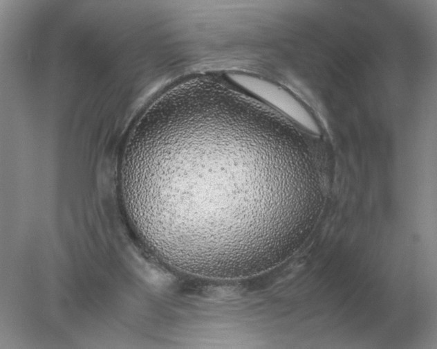 X0000078000107200611101804