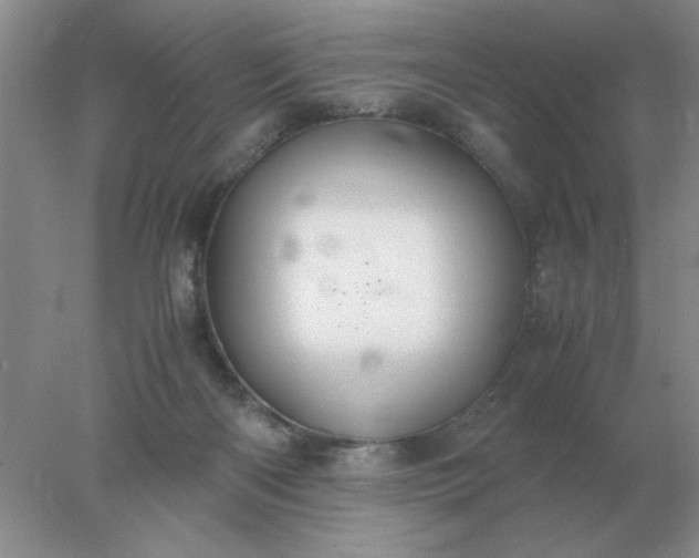 X0000078000122200611101804