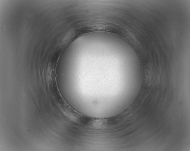 X0000078000126200611101804