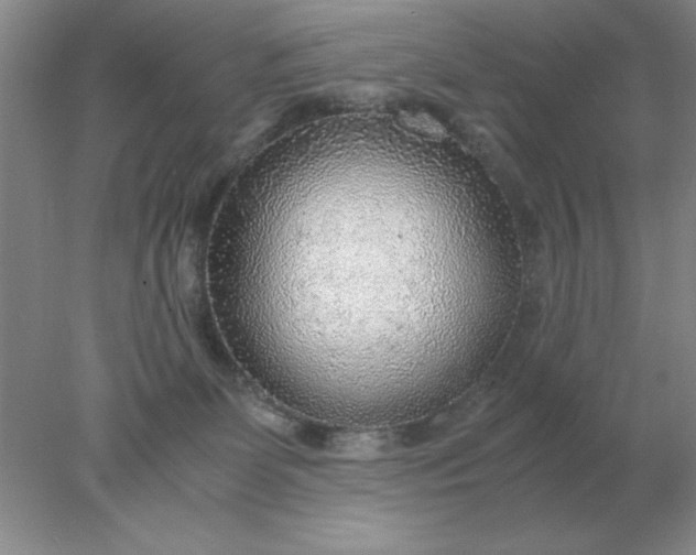 X0000078000131200611101804