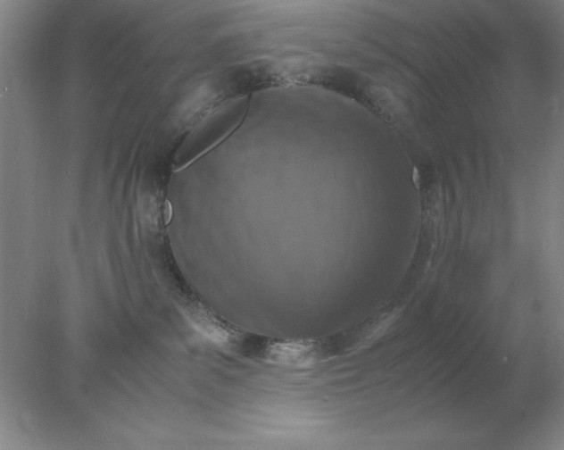 X0000078000139200611101804