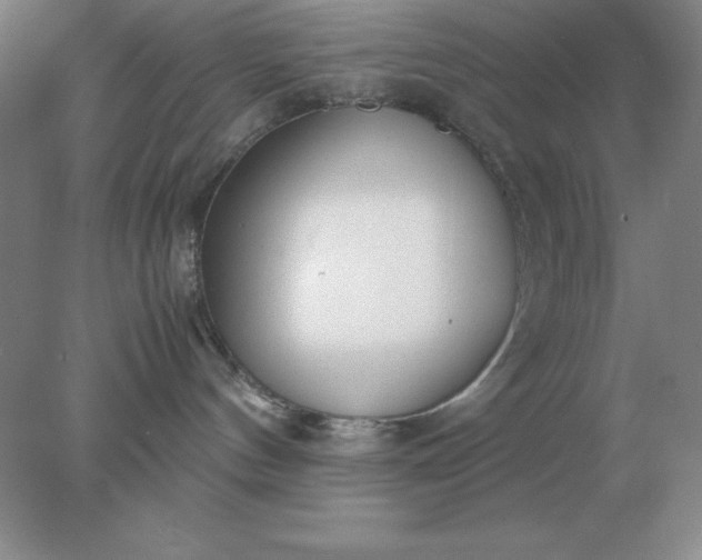 X0000078000144200611101804