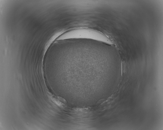 X0000078000147200611101803