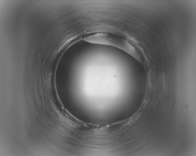 X0000078000154200611101803