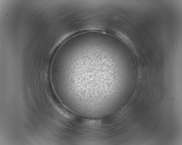X0000078000155200611101803