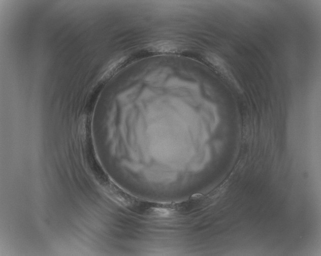 X0000078000167200611101803