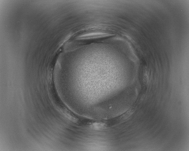 X0000078000168200611101803