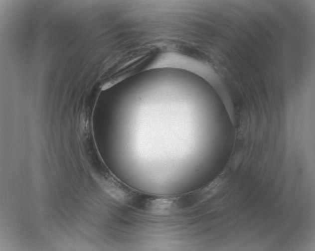X0000078000176200611101803