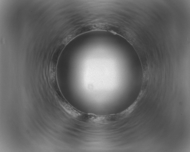 X0000078000186200611101804