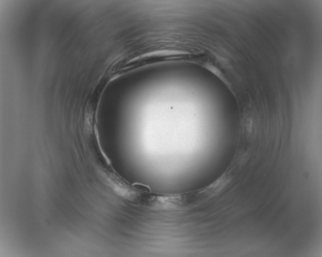 X0000078000188200611101804