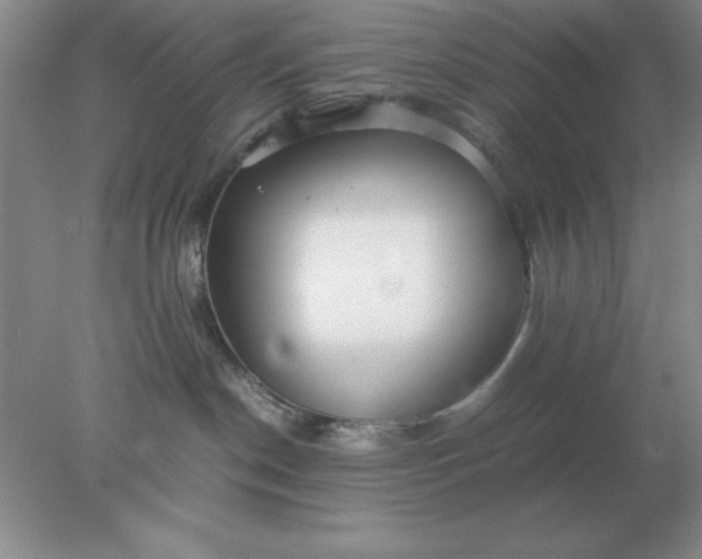 X0000078000190200611101804