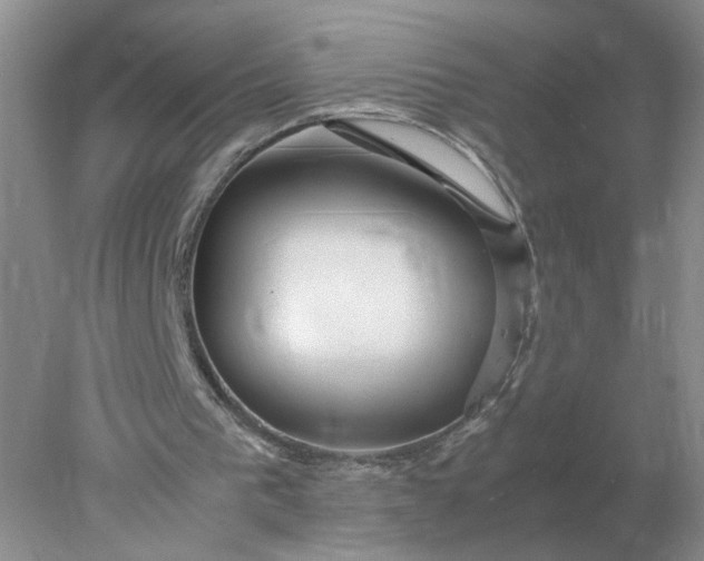 X0000078000193200611101803