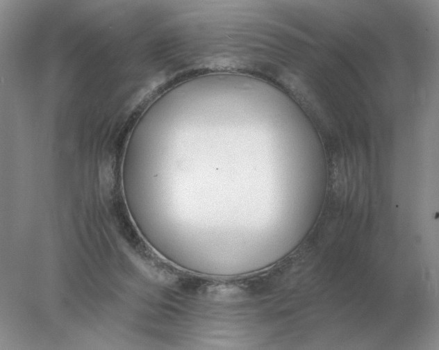 X0000078000208200611101803