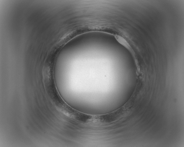X0000078000211200611101803