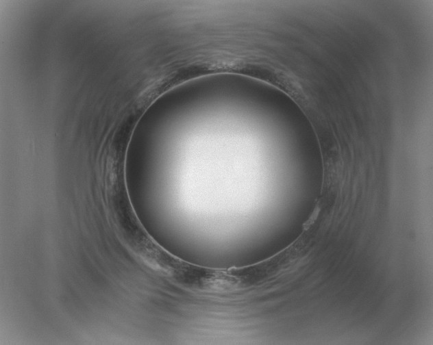 X0000078000215200611101802