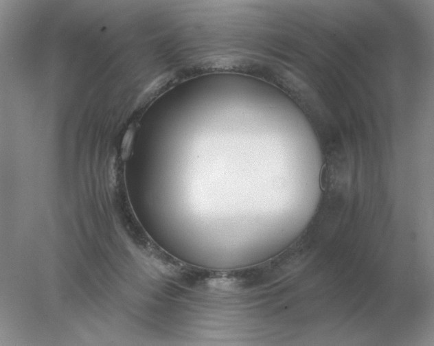 X0000078000216200611101802