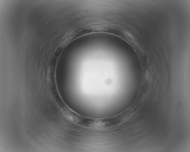 X0000078000217200611101802
