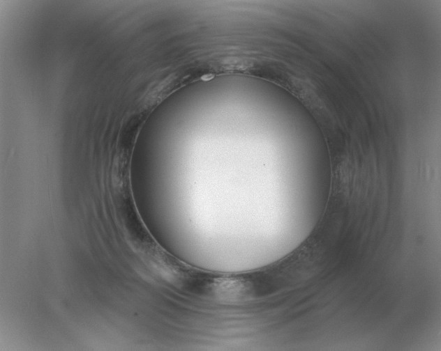 X0000078000218200611101802
