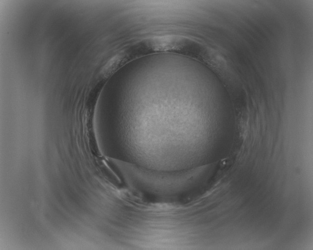 X0000078000219200611101802