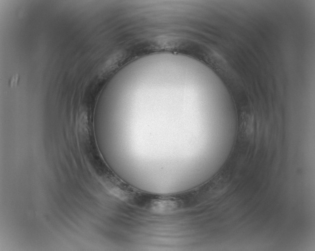 X0000078000220200611101802