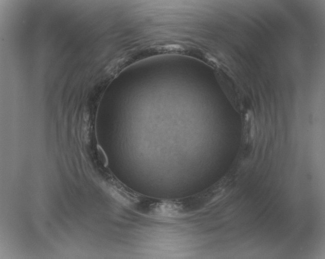 X0000078000223200611101802