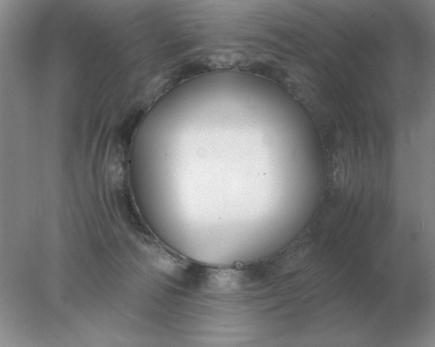 X0000078000226200611101802