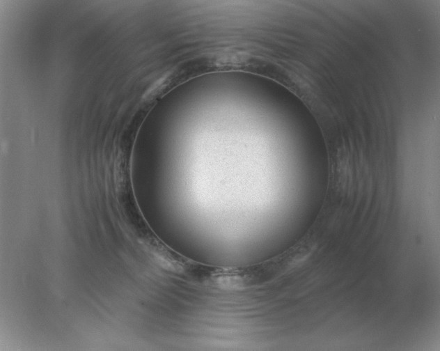 X0000078000228200611101802