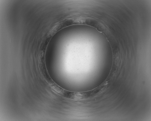 X0000078000229200611101802