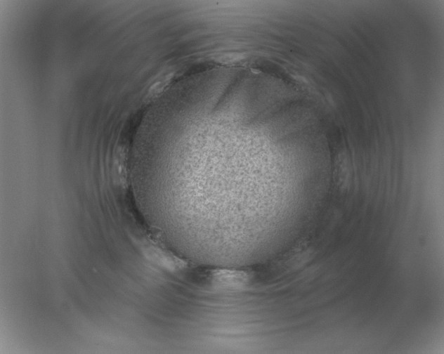 X0000078000234200611101802