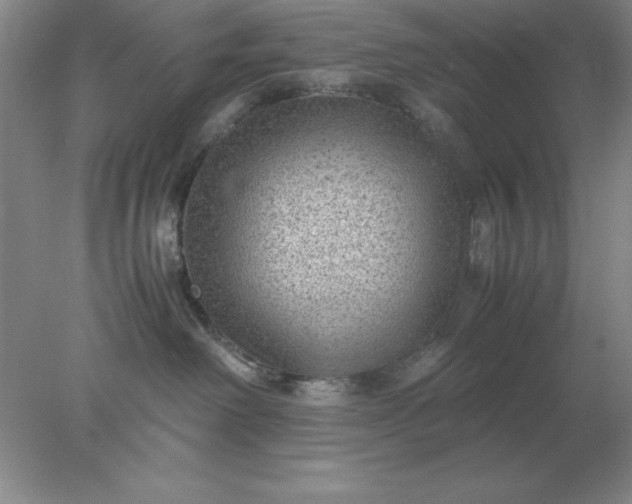 X0000078000238200611101802