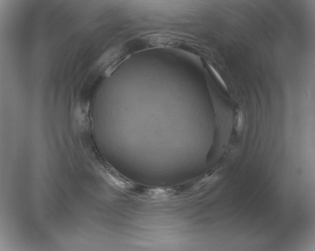 X0000078000239200611101802