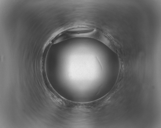 X0000078000244200611101801