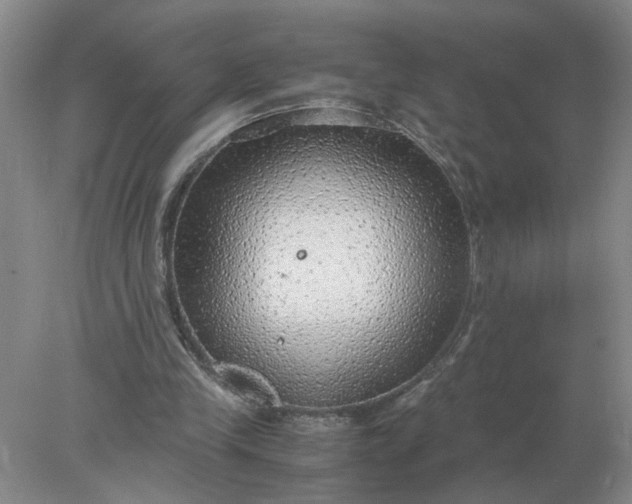 X0000078000245200611101801