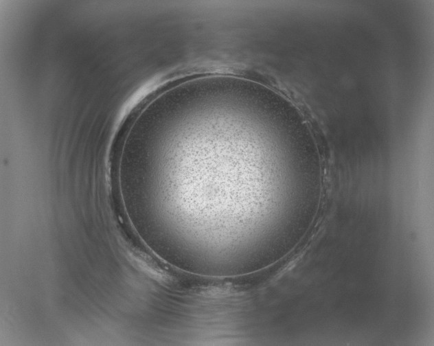 X0000078000246200611101801