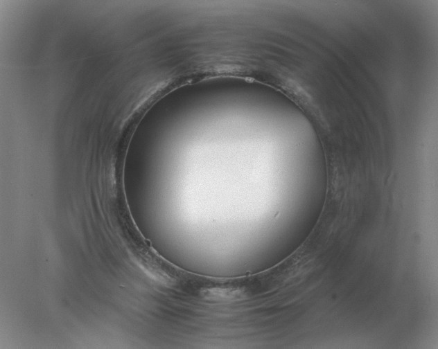 X0000078000251200611101801
