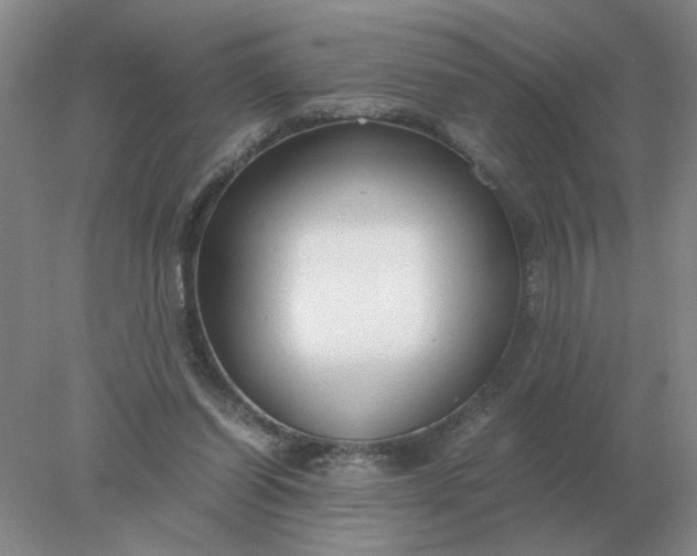 X0000078000254200611101801