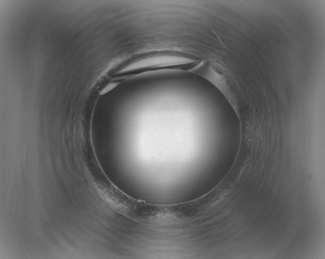 X0000078000256200611101801