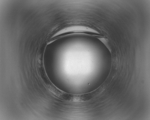 X0000078000264200611101802