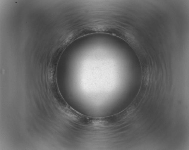 X0000078000268200611101802